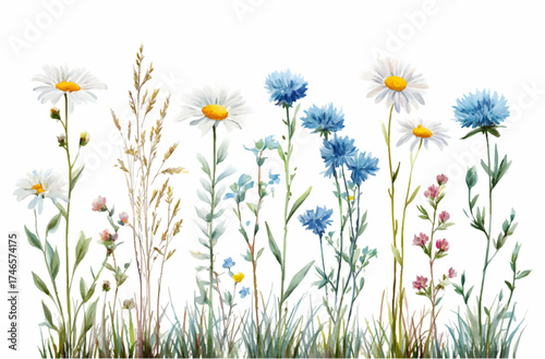 Watercolor wildflowers border. Wild flowers of daisies and cornflowers.A delicate field of flowers, painted in light spring tones. Perfect vector background for greeting cards and decorative prints.