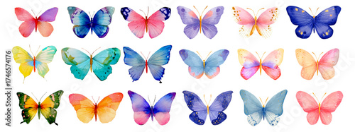 Set of watercolor butterflies. Multicolored colored butterflies. Spring and summer floral insects. Spring, summer decoration. Colorful of various butterfly species collection