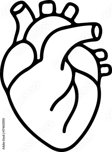 human heart icon image vector
