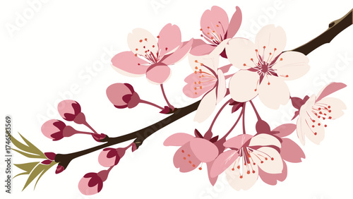 Pink Blossom Branch Spring Flowers Floral Design Element for Invitation Card Wallpaper Website.