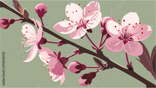Pink Blossom Branch Spring Flowers Floral Art Nature Illustration Botanical Design Delicate Petals Blooming Branch Springtime Pink Flowers Floral Background Nature Photography Flower I.