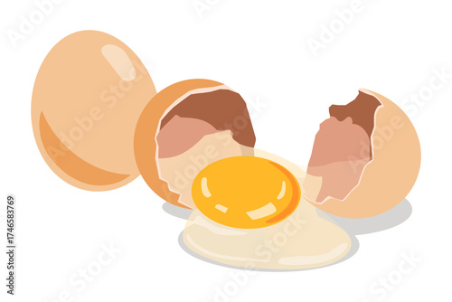 Eggs vector illustration showing whole and cracked eggs with yolk, ideal for breakfast or cooking ingredient design.