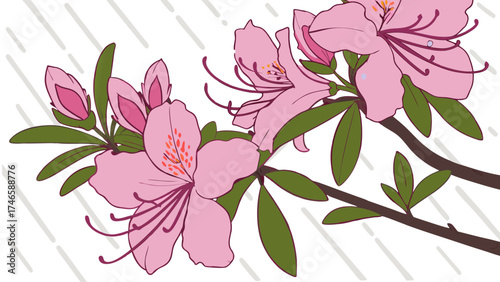 Pink Flowers in the Rain Floral Illustration Botanical Art Spring Blossom Nature Design.