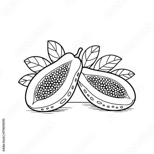 Papaya Coloring Page | Beautiful decorative line art design created for coloring enthusiasts. Ideal for printable artwork, creative relaxation, and art therapy sessions.