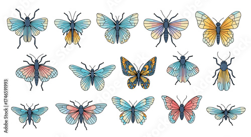A vibrant collection of diverse insect species showcasing intricate wing patterns and varied coloration a celebration of entomological artistry.