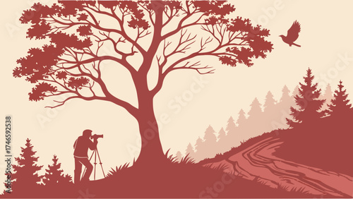 Silhouette of photographer taking pictures of nature birds and trees in a forest landscape.