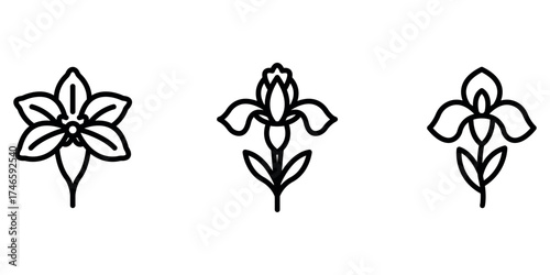 iris outline or line icon design bundle.