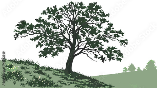 Single Deciduous Tree on a Hillside with Grass and Flowers.