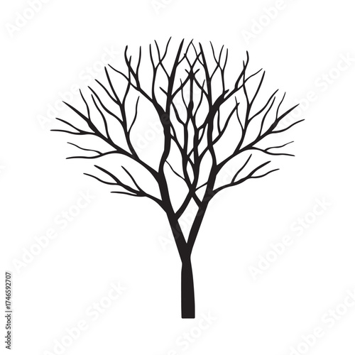 tree silhouette vector