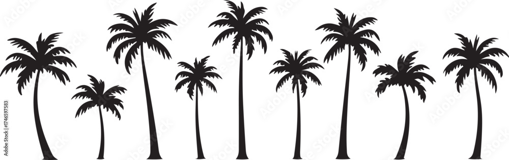 Obraz premium palm tree silhouette