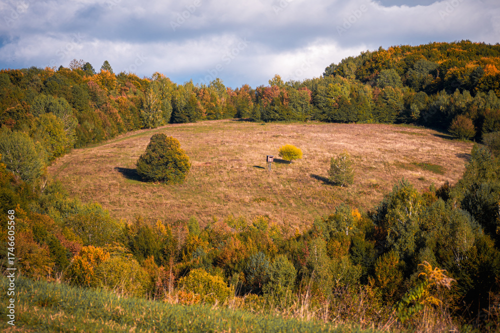 Fototapeta premium Autumn landscape with a meadow surrounded by forest and a wooden hunting tower in the center. Peaceful countryside view with colorful trees and cloudy sky.