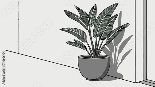 A potted plant with patterned leaves in a corner.