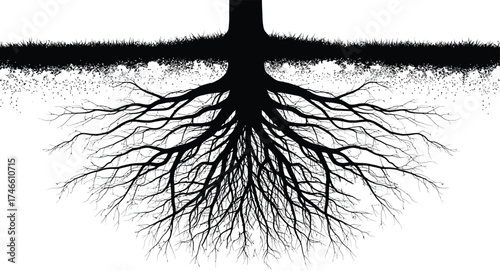 A detailed silhouette of tree roots isolated on white background, showcasing the intricate network and underground support system of a mature tree
