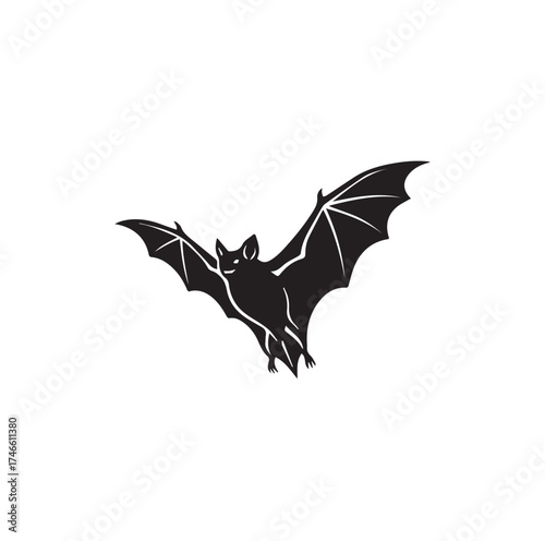 Flying Bat Silhouette