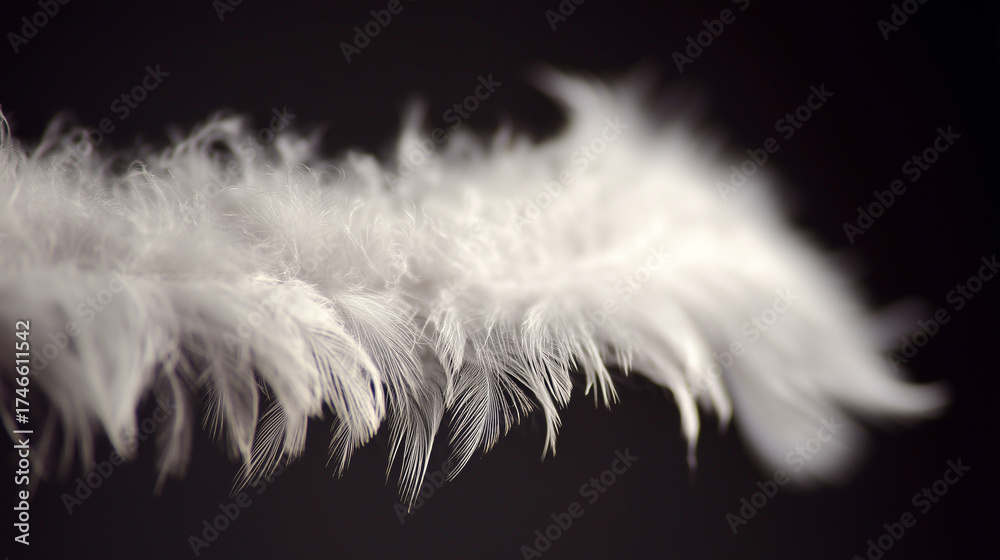 Obraz premium finesse. Close-up of a delicate white feather wing, showcasing intricate details in soft, focused light. wildlife magazines, conservation campaigns, designed for nature documentaries and education.