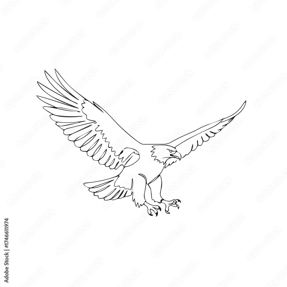 Obraz premium Flying Eagle Vector Illustration