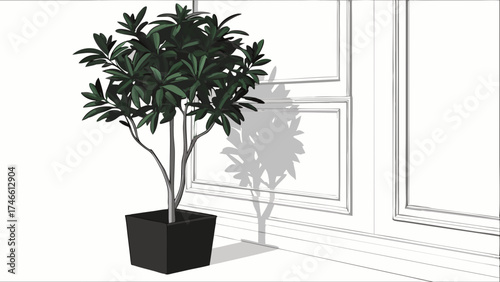 Houseplant in a Pot with Shadow and Architectural Details.