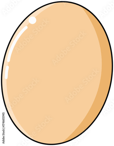 vector illustration of an orange