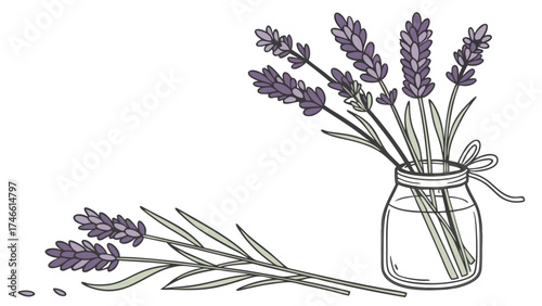 Lavender Flowers in a Jar Floral Illustration.