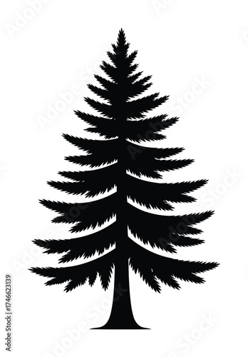 Single pine tree silhouette vector for winter and Christmas art