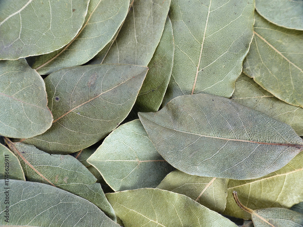 Obraz premium Bunch of bay leaves shot from above