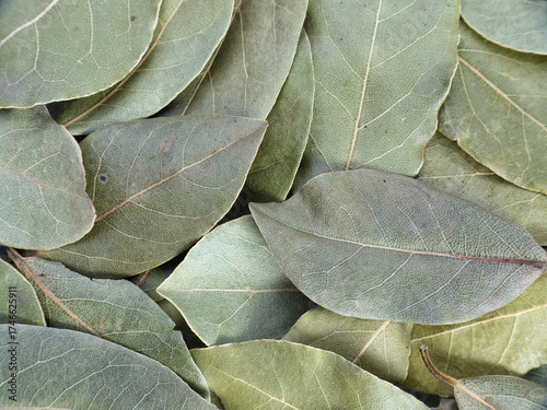 Bunch of bay leaves shot from above