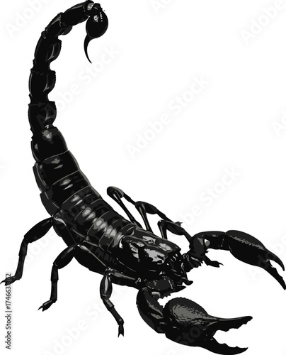 A black scorpion isolated on white background, showcasing its dangerous and predatory nature, a symbol of power and resilience in the animal kingdom