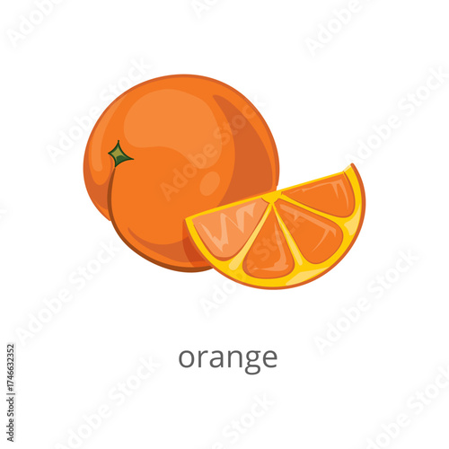 Orange Fruit Slice and Whole Isolated on White Background Vector Illustration