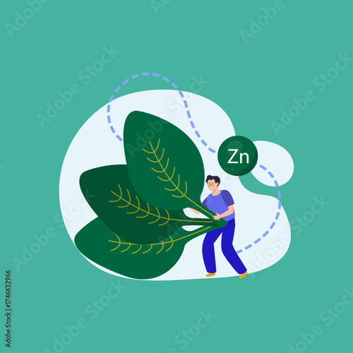 Zinc Essential Mineral for Health and Wellbeing with Leafy Greens