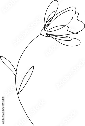 Minimalist one line art flower. Contemporary plant drawing. Simple abstract bloom concept. Vector illustration for greeting card, print, logo
