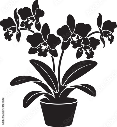Elegant black silhouette of potted orchid flowers for graphic design projects and minimalist botanical illustrations adding a touch of nature and sophistication