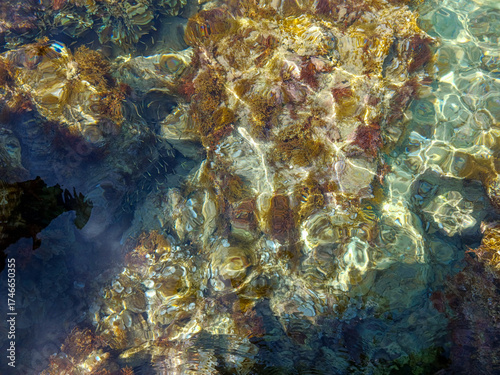 Sun glare on the sea surface. A background with a clear water surface. Large and small rocks are visible through the water. The rocky bottom and coral reef are visible through the clear water