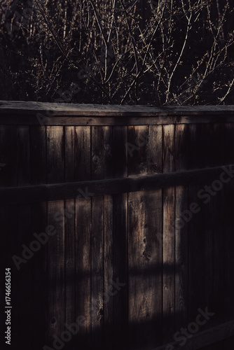 Spring sunlight filters through the crown of a tree, casting soft shadow on the fence below. A gentle reflection shimmers in morning light, capturing nature’s quiet rhythm in a fleeting moment.