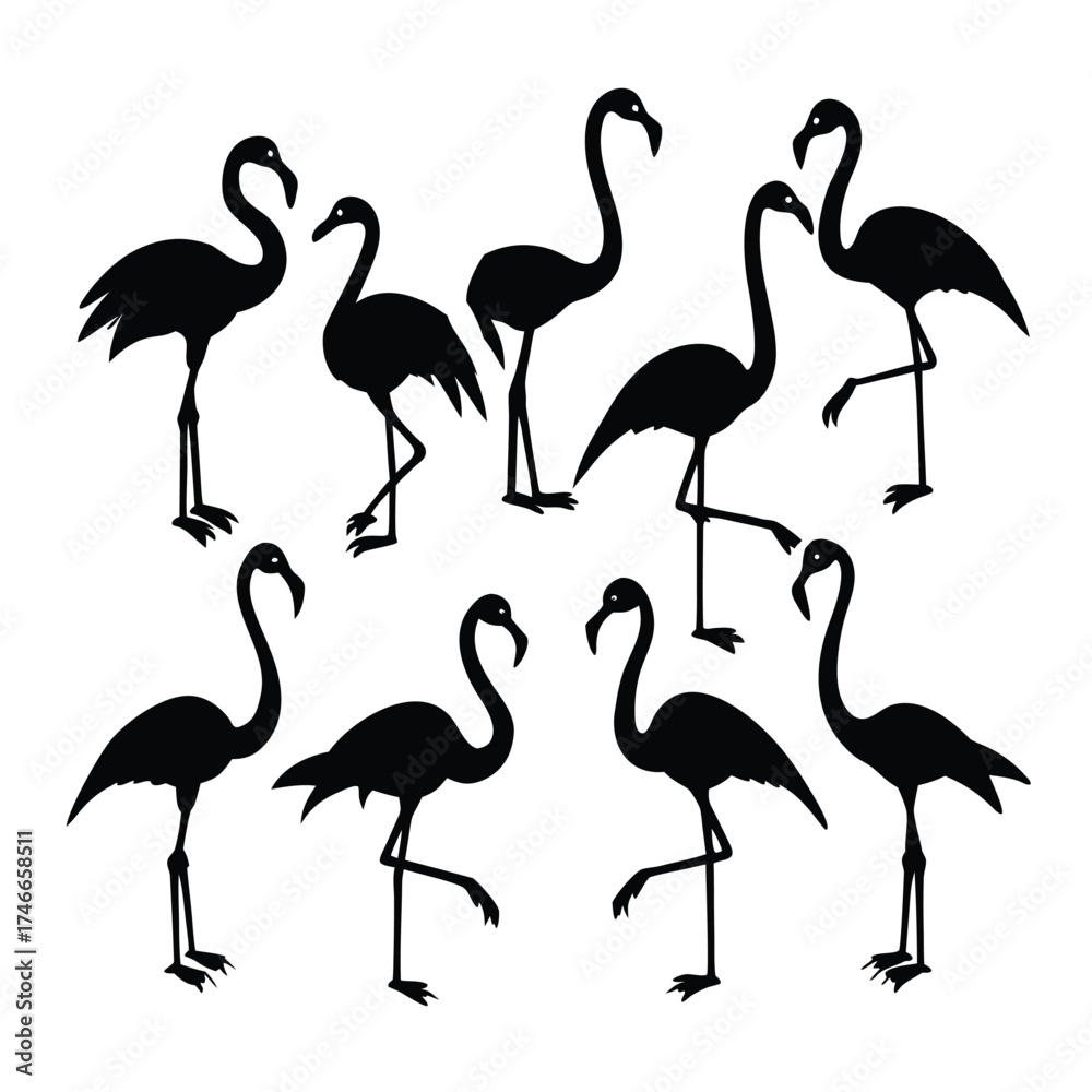 Obraz premium Flamingo Silhouette Vector Collection
