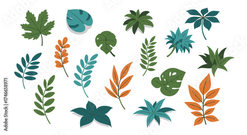 Colorful botanical leaves collection on white background