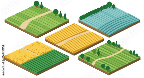 Isometric agricultural landscape with cultivated fields and trees