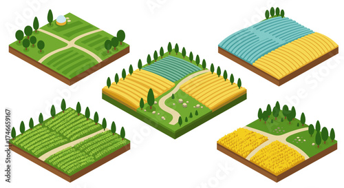 Isometric agricultural landscape with lush green fields and farm plots