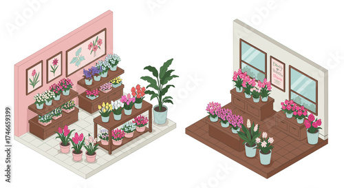 Isometric flower shop interior with colorful potted plants on display