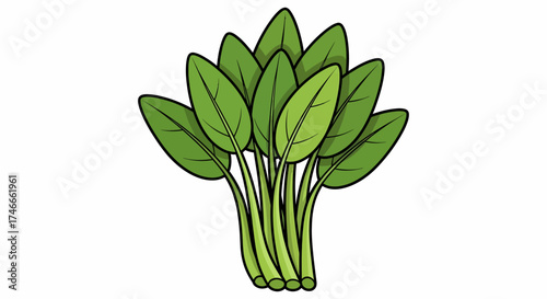 A vibrant cartoon illustration of a fresh bunch of spinach leaves on a white background.