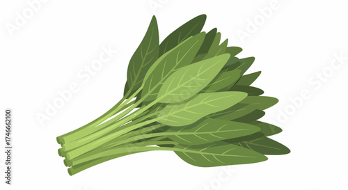 A bunch of fresh, vibrant green spinach leaves tied together, presented on a white background.