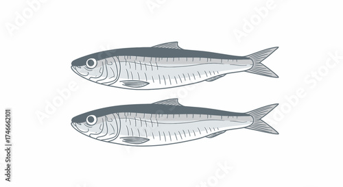 Two small, slender fish, possibly sardines or anchovies, depicted in a simple, illustrative style on a plain white background.