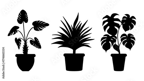 Set of Potted Houseplant Silhouettes. Black Indoor Plant Icons