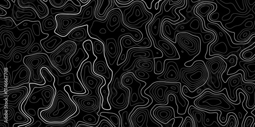 Topographic map pattern background vector. Fractal lines background. Topographic map like abstract backdrop. 