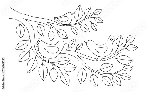 Birds on tree branch line art, Minimal nature outline drawing, Peaceful bird and leaves sketch