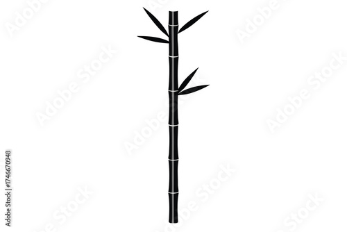 bamboo stalk vector line art flower silhouette