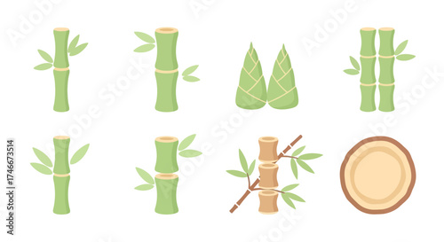 Vector Icons Set of Vector illustration set of various bamboo plant elements including stalks leaves shoots and a cross section isolated on a white background. Vector Illustrations. EPS Editable