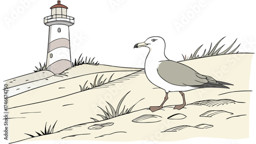 Seagull on Sandy Beach Near a Lighthouse Coastal Illustration Nautical Bird Nature Illustration.