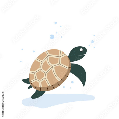 Turtle illustration in flat simple design abstract illustration