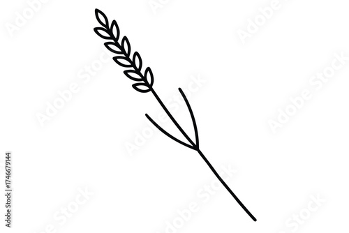 lavender sprig vector line art flower silhouette