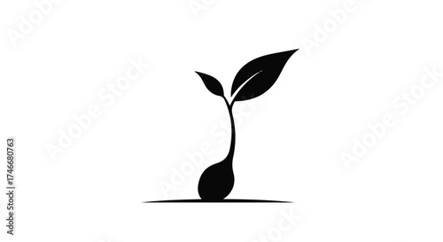New beginnings sprout from fertile ground, symbolizing growth and fresh opportunities.
